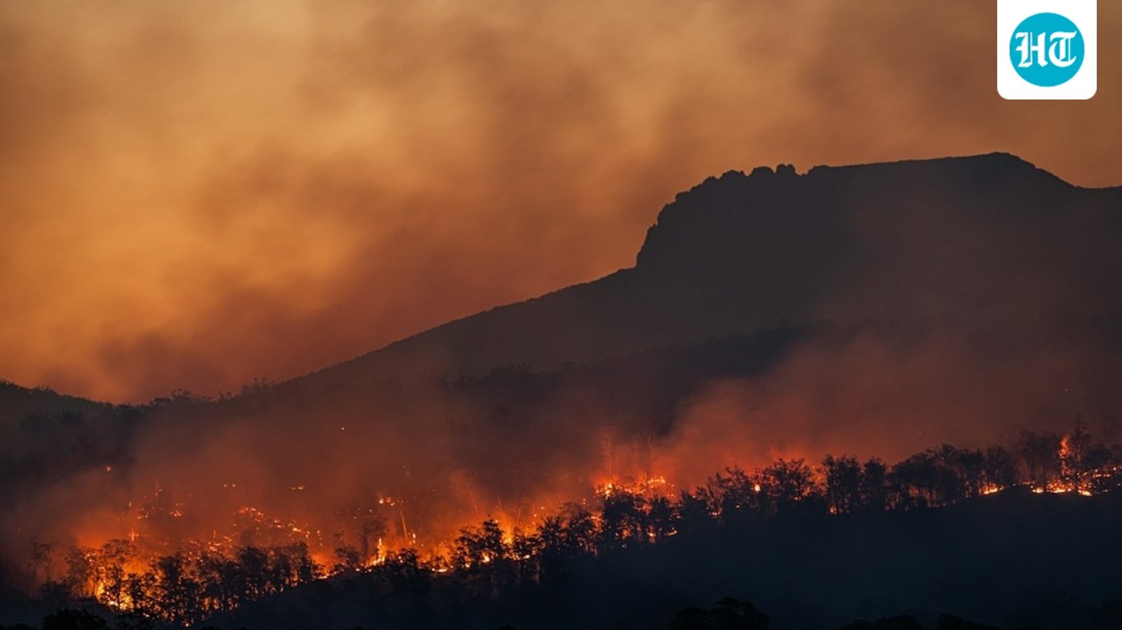 A vegetation fire was visible from both Temecula and Fallbrook in California. Image for representational purposes. (Unsplash)
