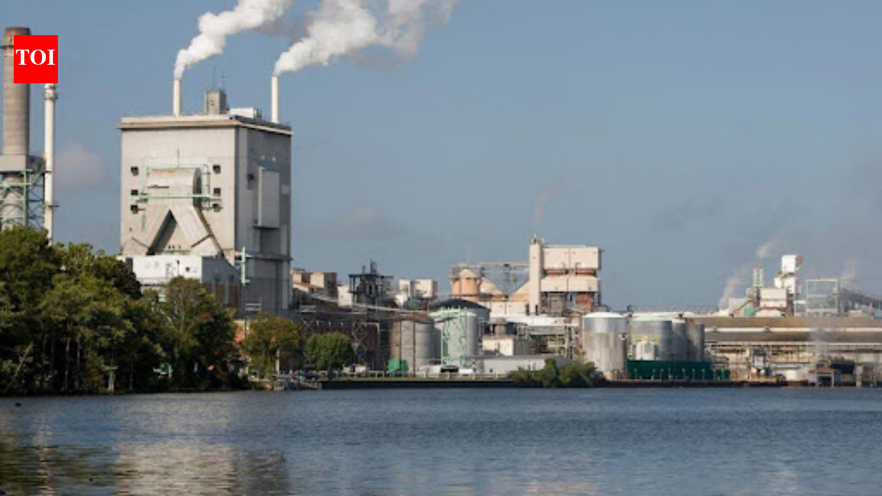 After more than 50 years of pulp-mill pollution, regulators have proposed restoring North Carolina's Roanoke River, including contaminated floodplain habitat damaged by toxic discharges