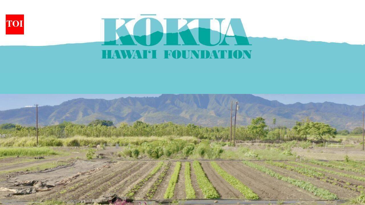 In 2019, Jack Johnson's foundation bought neglected farmland in Hawaii; six years later, it reported over 40,000 pounds of produce harvested and more than 2,200 students welcomed on field trips