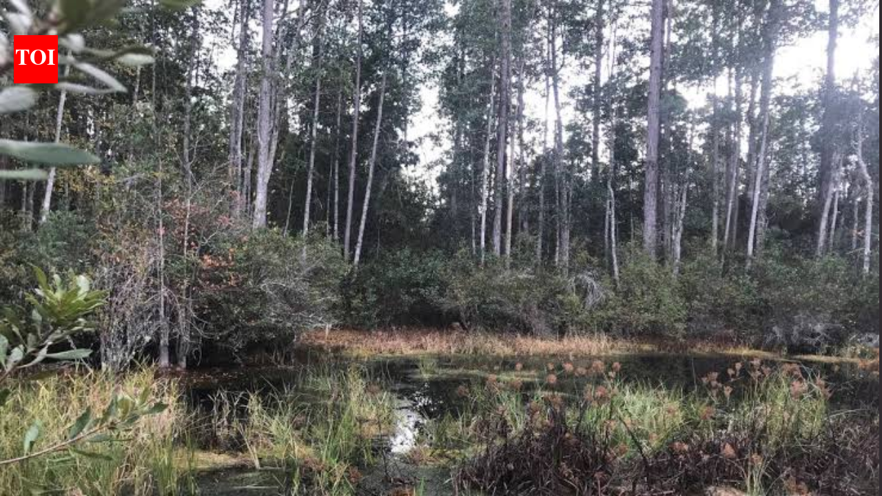 Florida approved more than $72.6 million to protect 10,770 acres across the state, including 2,700+ acres in a wildlife corridor and 4,500+ acres of working agricultural land under permanent easements