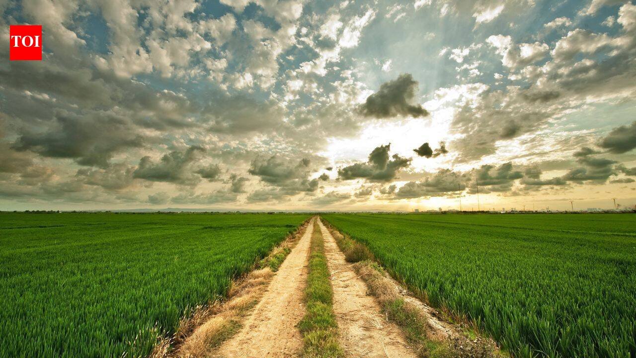 Philip Rietveld assembled nearly 1,500 acres of Illinois and Indiana farmland over his lifetime; after his death in 2026, his family sold 23 tracts for $22.46 million, with one fetching $32,600 an acre