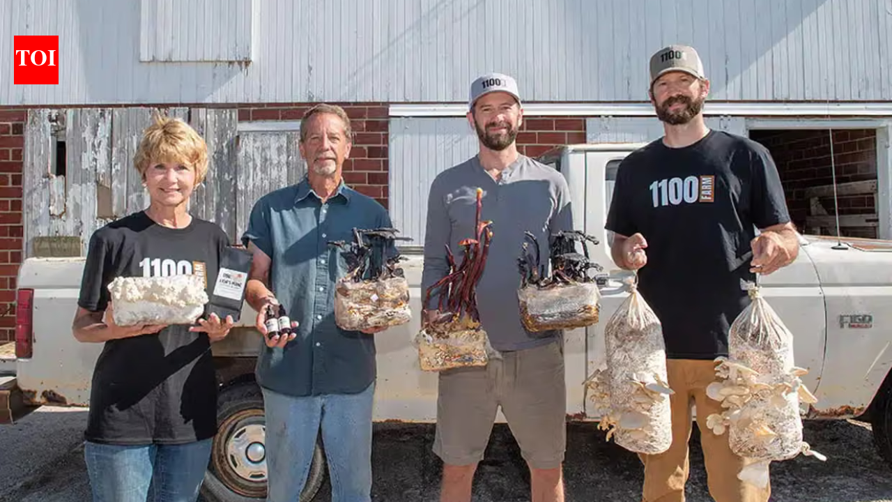 Two Iowa farmers gave up pigs and started growing mushrooms; their abandoned livestock buildings became an artisan food business