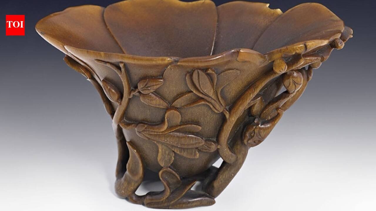 A Sydney shopper bought a carved cup for A$4 at a thrift shop; experts identified it as a centuries-old Chinese rhinoceros-horn cup, and was auctioned for A$75,640 in 2013