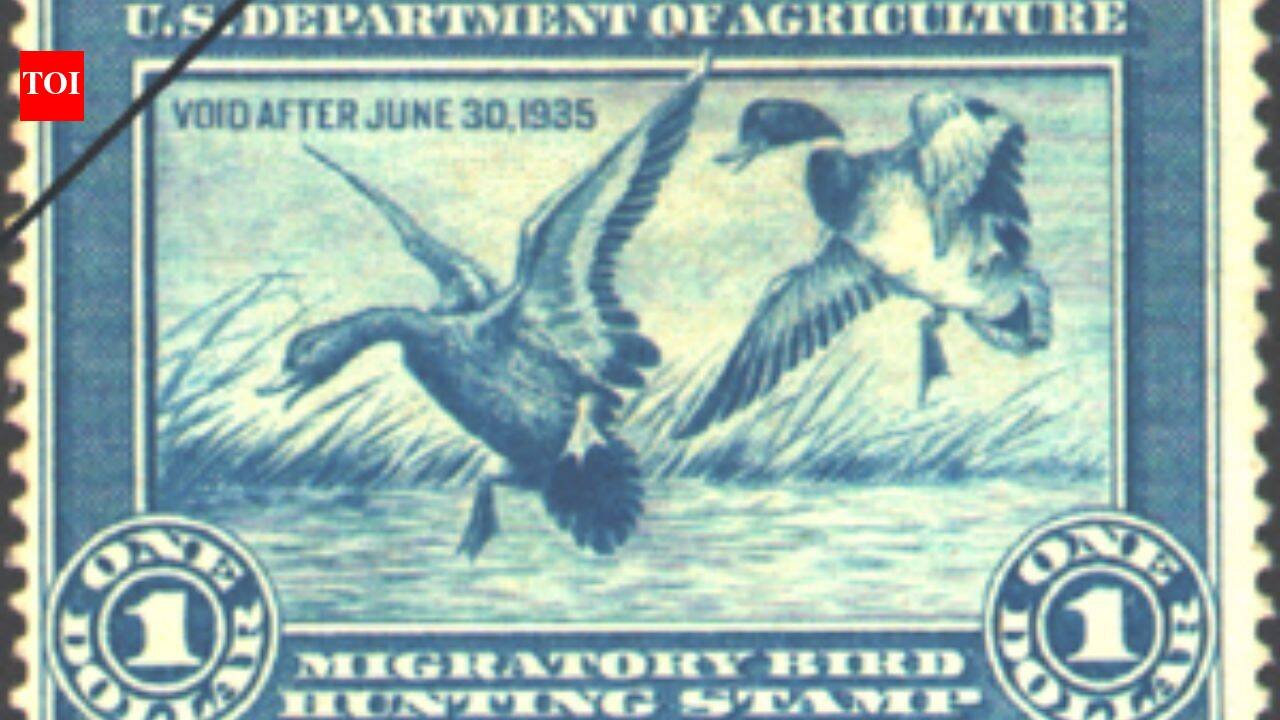 In 1934, America created a $1 conservation stamp for duck hunters; it has since helped protect more than 6 million acres of wetlands