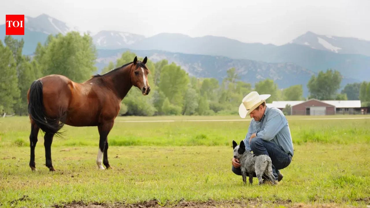 A Colorado ranch homesteaded before statehood stayed with the same family for six generations; more than 150 years later, 650 of its roughly 700 acres were permanently protected from subdivision