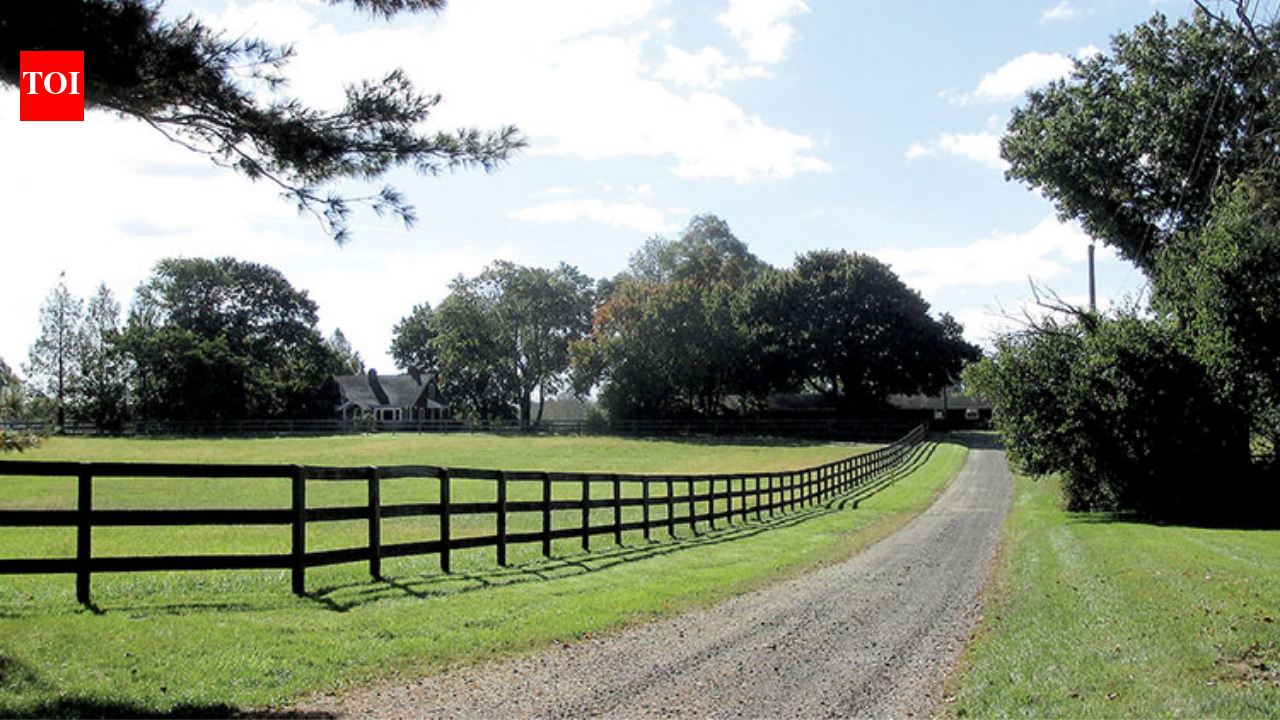 Jon Stewart and his wife Tracey paid $4 million for a historic 45-acre New Jersey farm in 2016; the property now grows crops and cares for rescued cows, sheep, goats, pigs and chickens through their sanctuary foundation