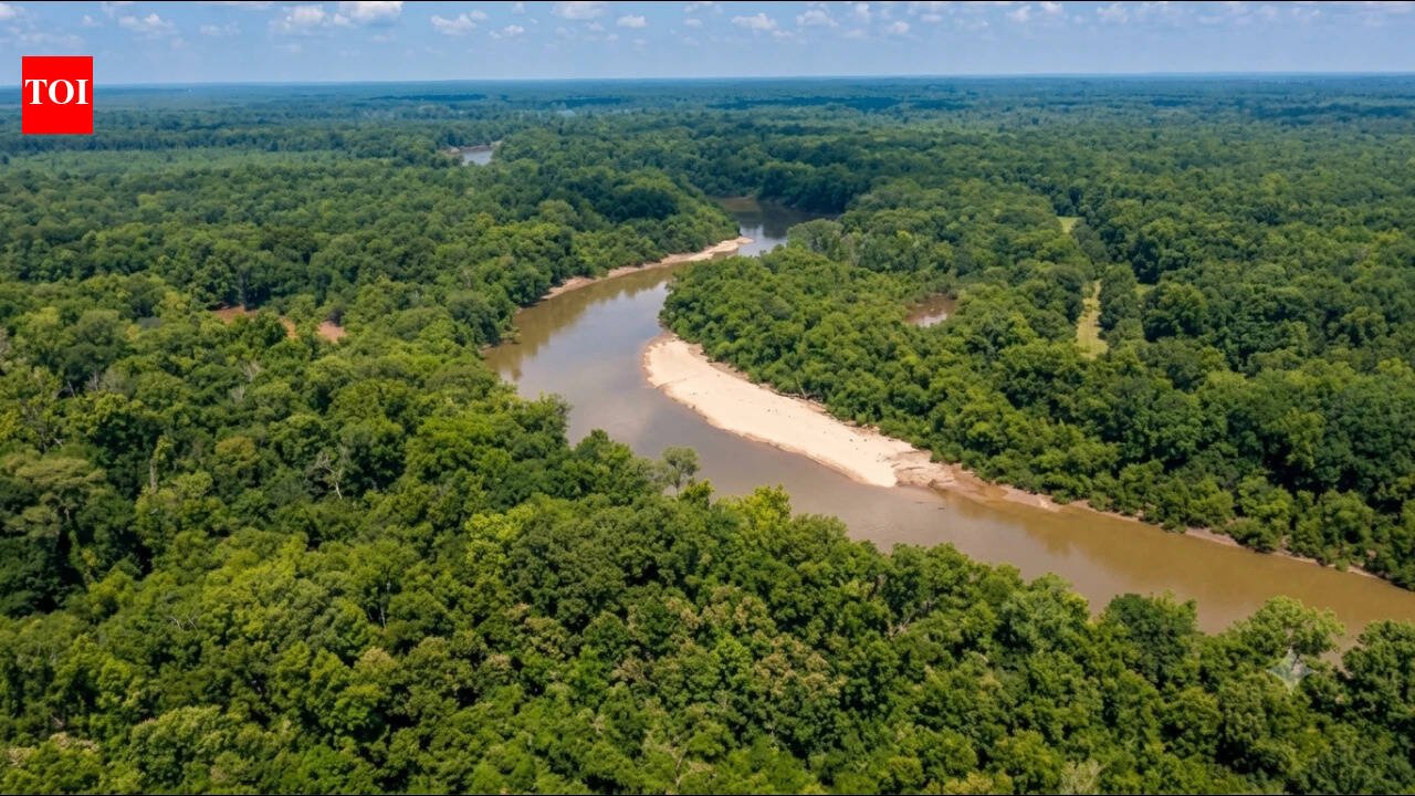 A 2,600-acre South Carolina timber property at the rivers where Revolutionary War commander Francis Marion hid from British forces has been transferred to the state, advancing a 7,600-acre conservation project with 60+ miles of riverfront