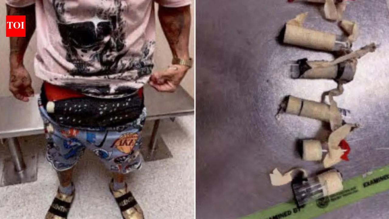 A Miami airport passenger had an ‘unexplained bulge’; officers found 10 live birds hidden in his underwear