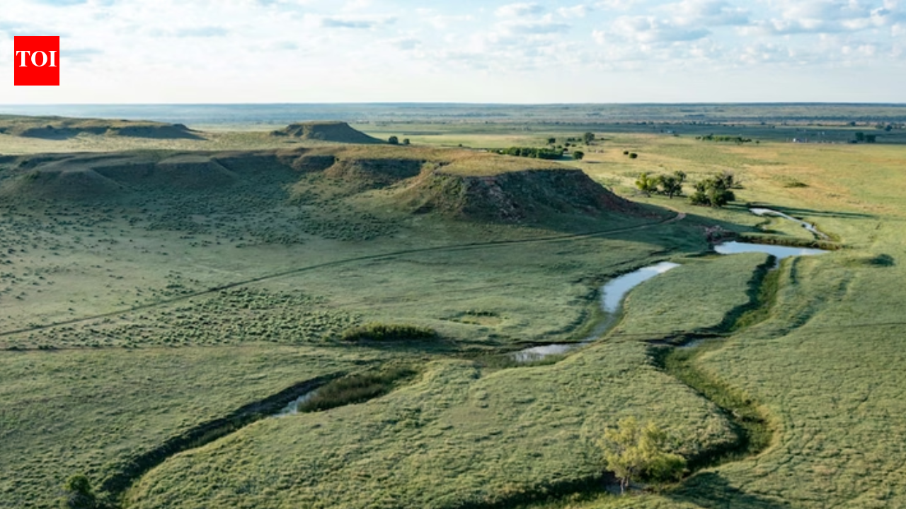 A Texas ranch spanning nearly 77,000 acres is back on the market for $180 million after the 2024 Smokehouse Creek Fire scorched more than half its land; the property has since undergone a major recovery