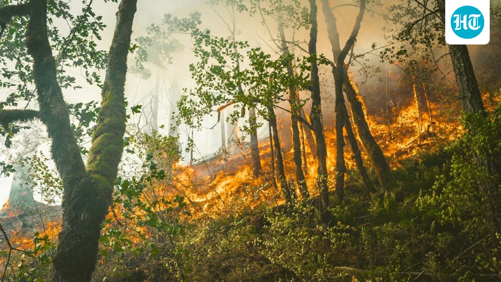 Malibu Bryson Fire (Unsplash)