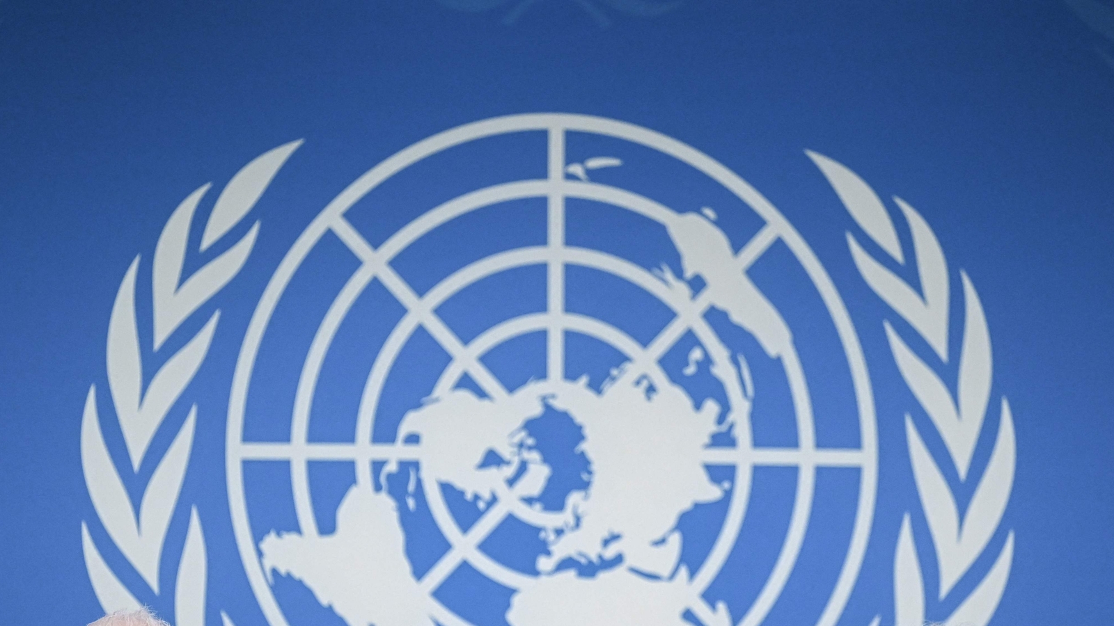 The UN voted to condemn the US embargo on Cuba, but support fell as Washington persuaded more countries to abstain or oppose it. (Photo by Fabrice COFFRINI / AFP) (AFP)
