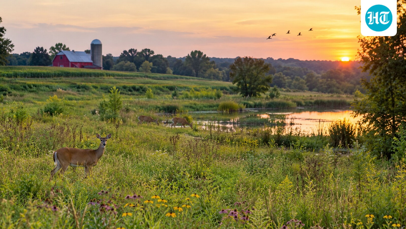 Representative image of a rural farm with open fields, a pond and wildlife in a natural habitat. (AI-genearye/ ChatGPT)