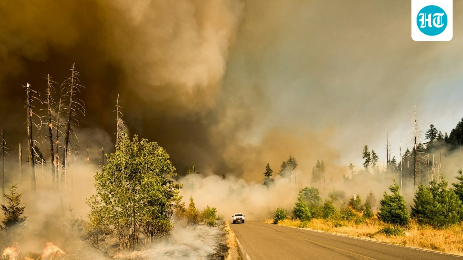 A large brush fire has been reported near Ocean Isle in Brunswick County. (Representative)