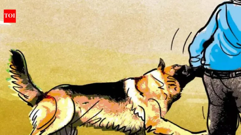 “J&K reports 200,000 dog bite cases in last 2 years” | India News
