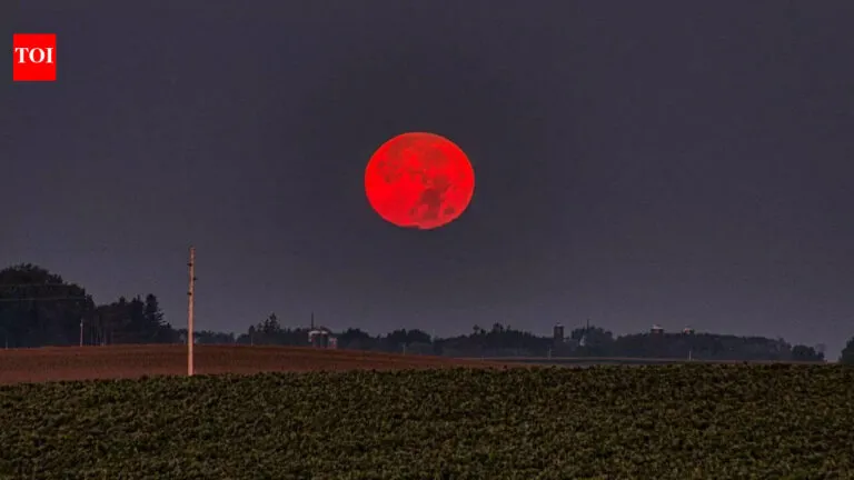 Why the Moon turns red during a total lunar eclipse: The physics behind a blood moon